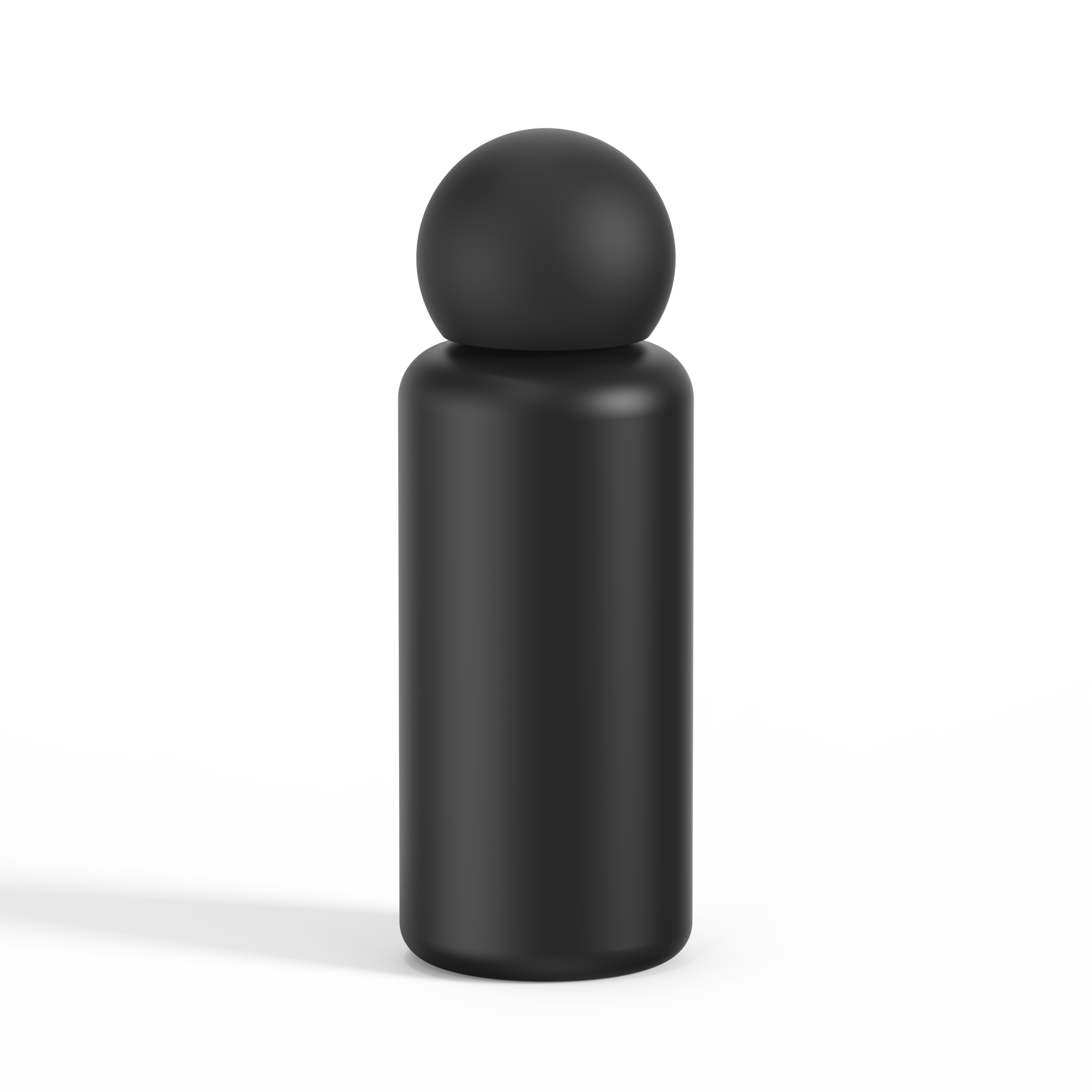 Insulated SS Vacuum Bottle