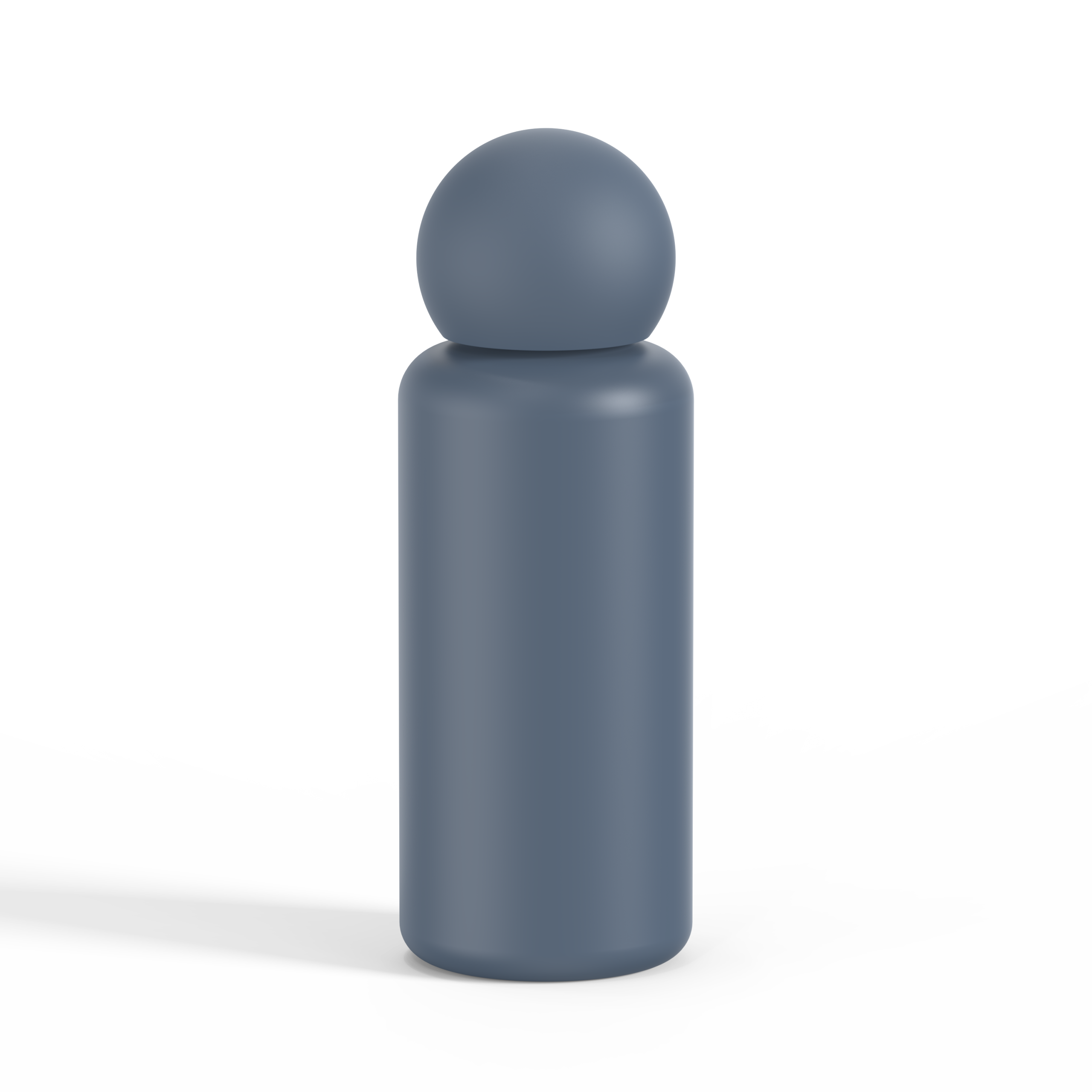 Insulated SS Vacuum Bottle