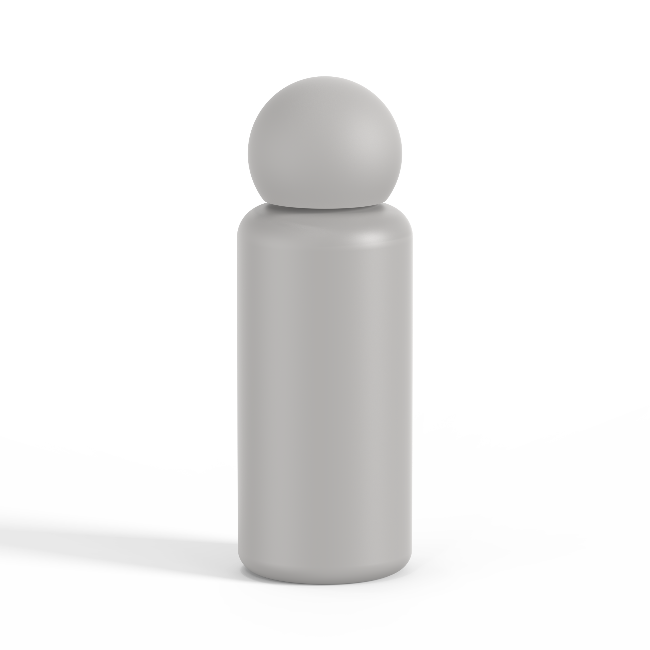Insulated SS Vacuum Bottle