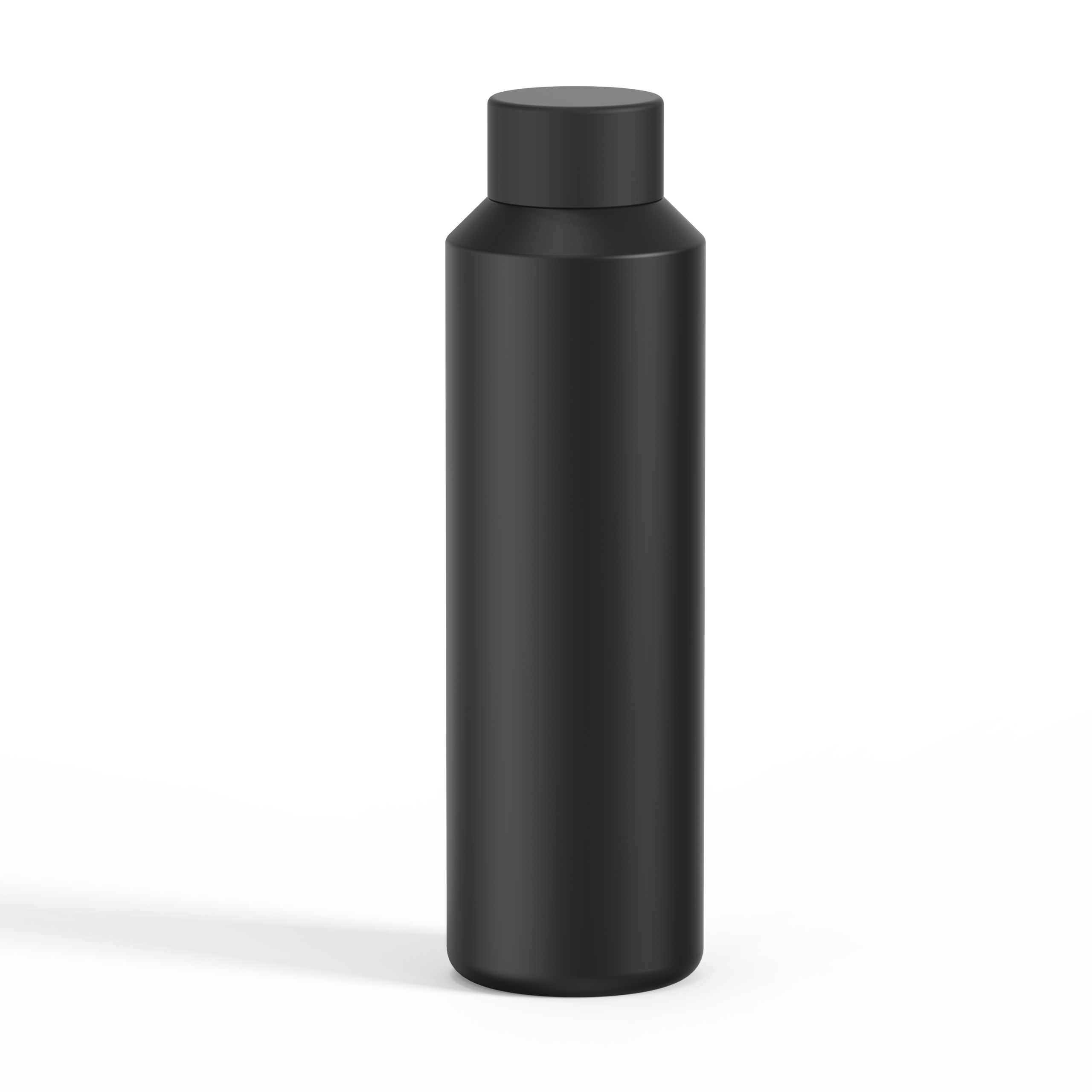 Insulated SS Water Bottle