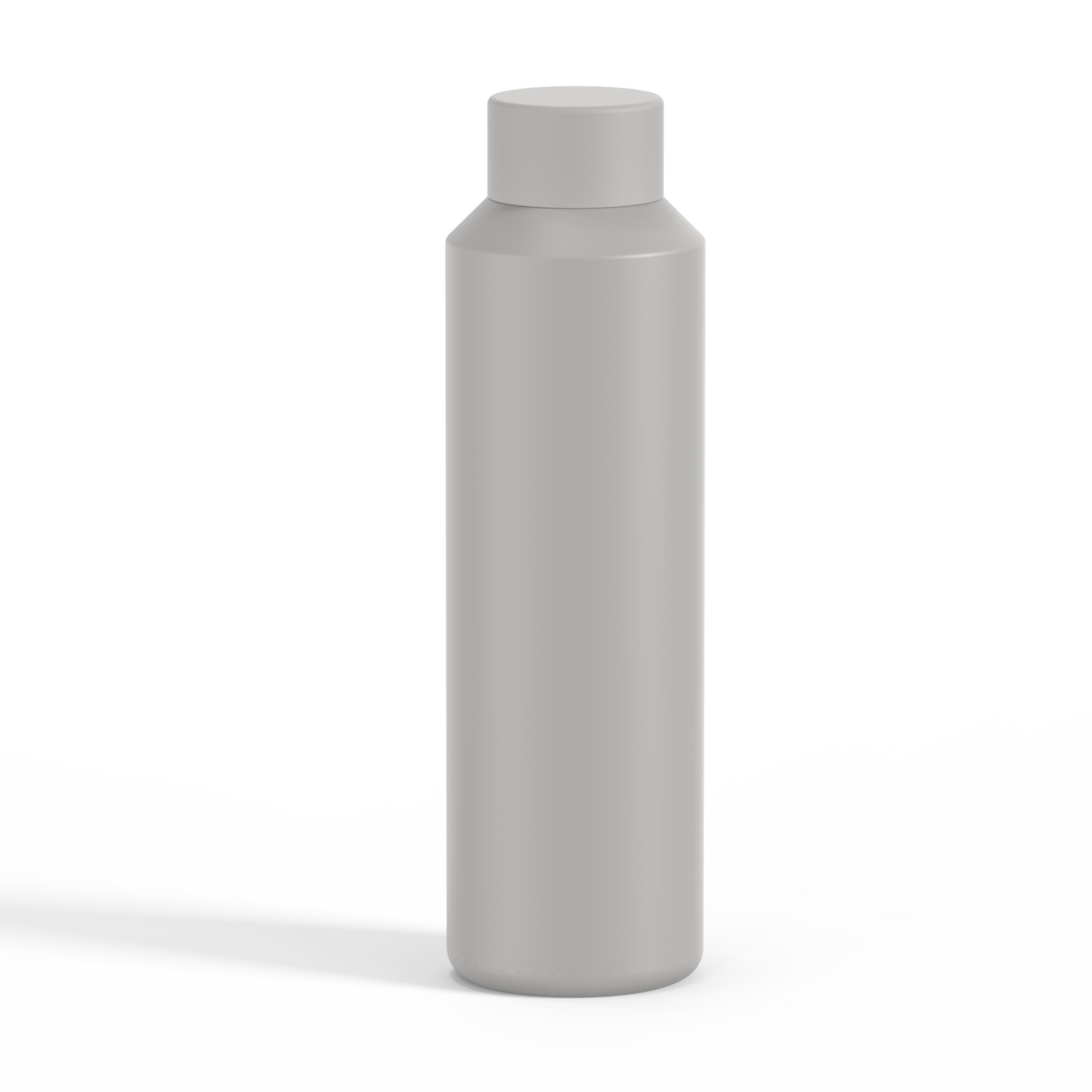Insulated SS Water Bottle