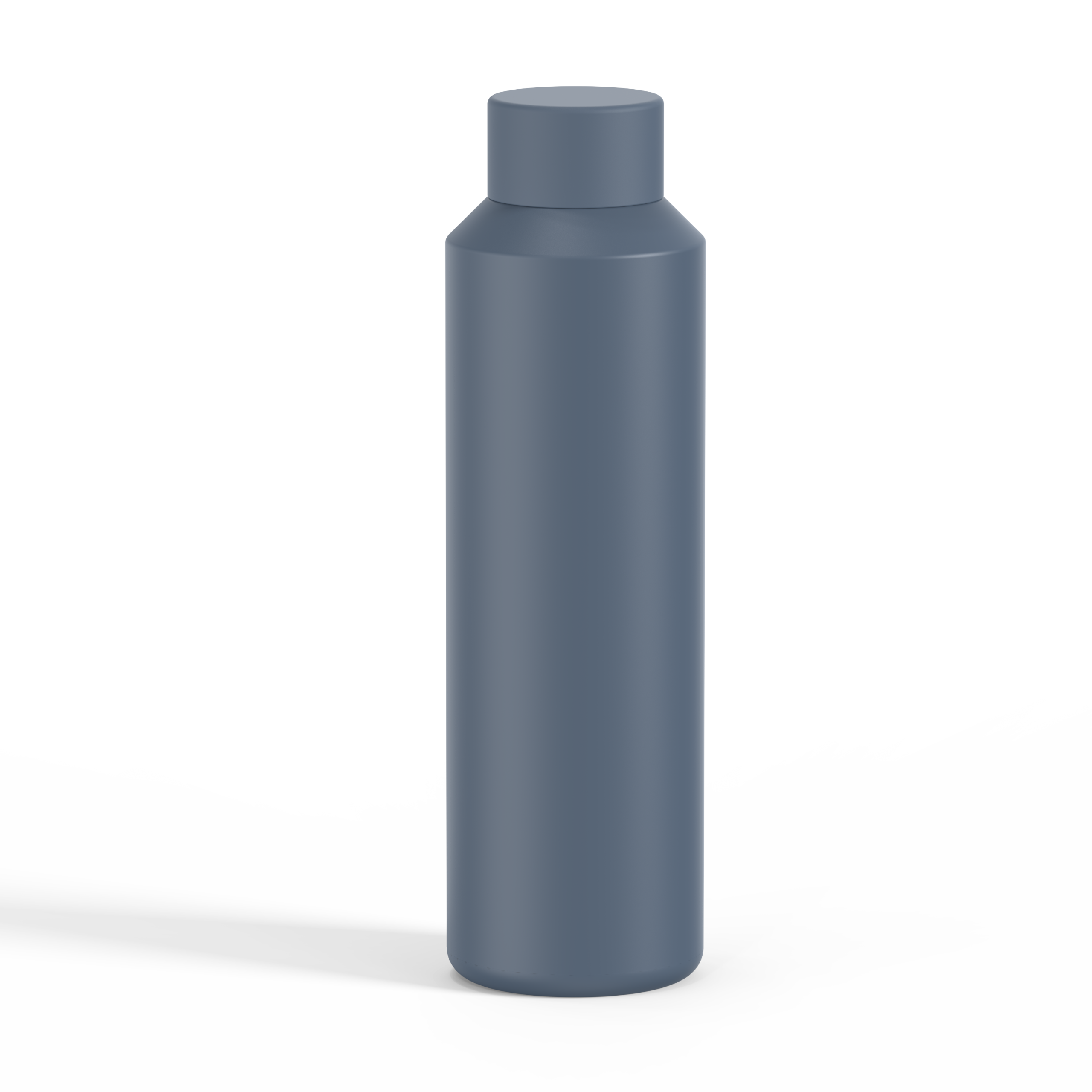 Insulated SS Water Bottle